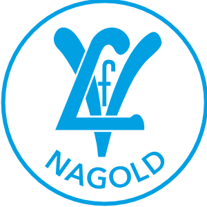 VfL Nagold Leichtatheltik